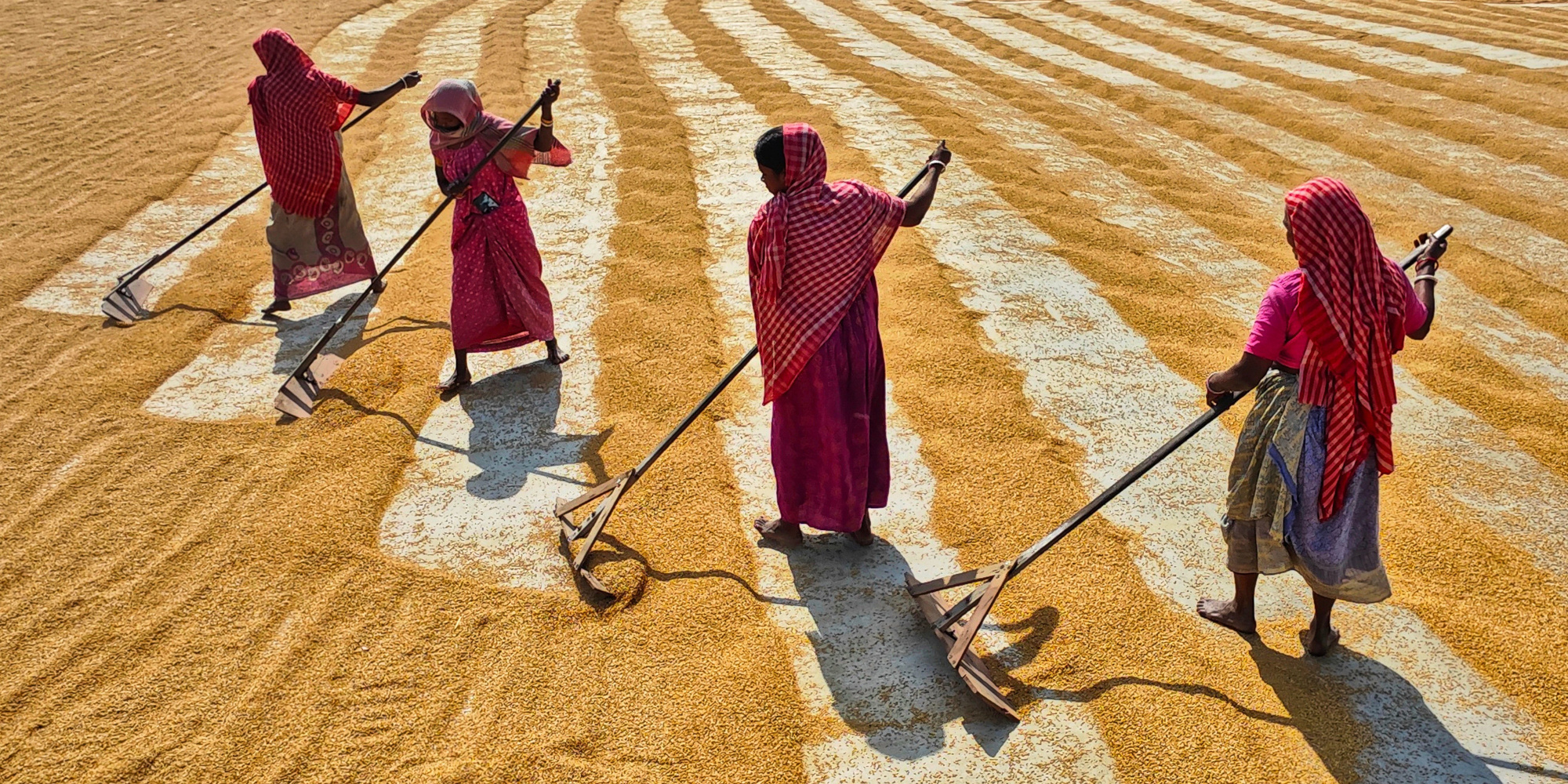 La malnutrition n'est pas due à un manque de nourriture mais aux inégalités économiques et sociales.